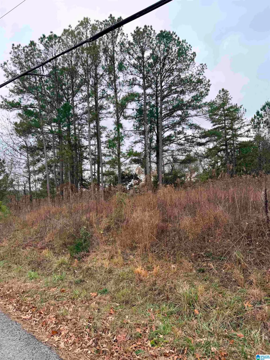 0 INDIAN HILLS ROAD, Hayden, AL 35079 - #3