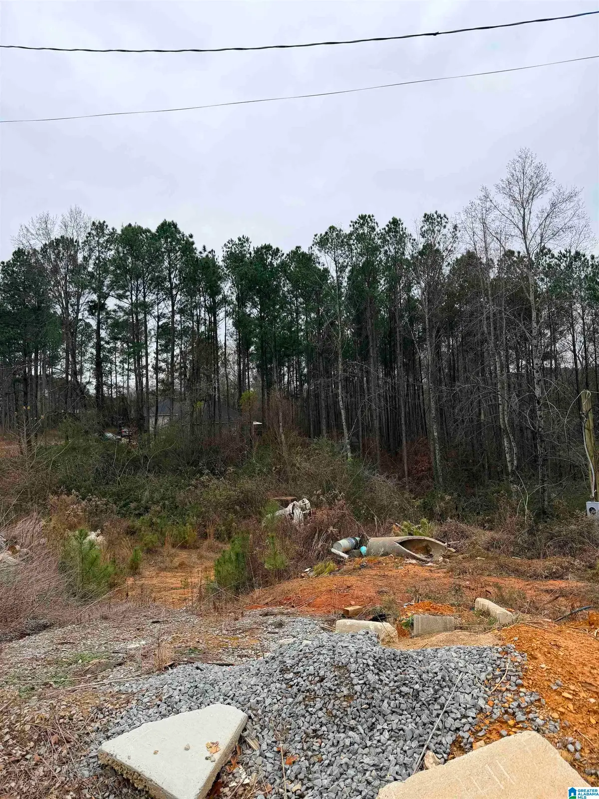 0 TEAL DRIVE, Hayden, AL 35079 - #1