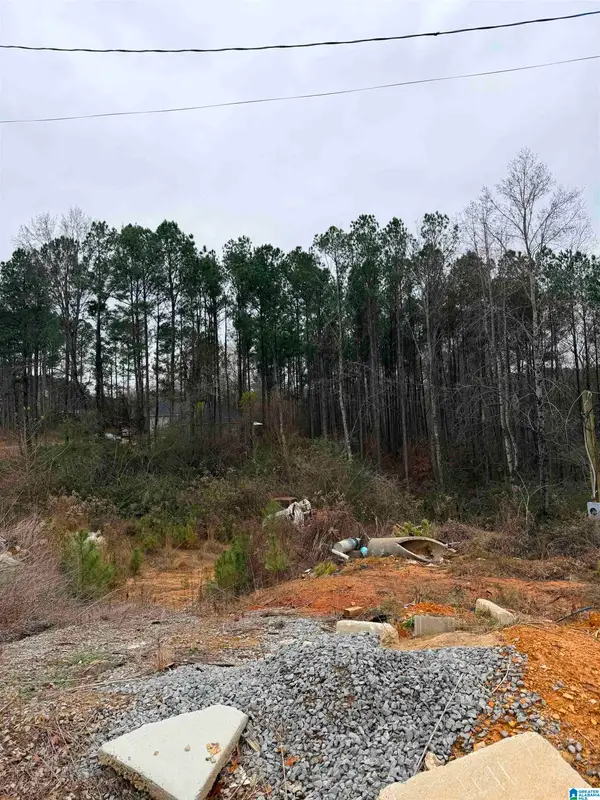 0 TEAL DRIVE, Hayden, AL 35079