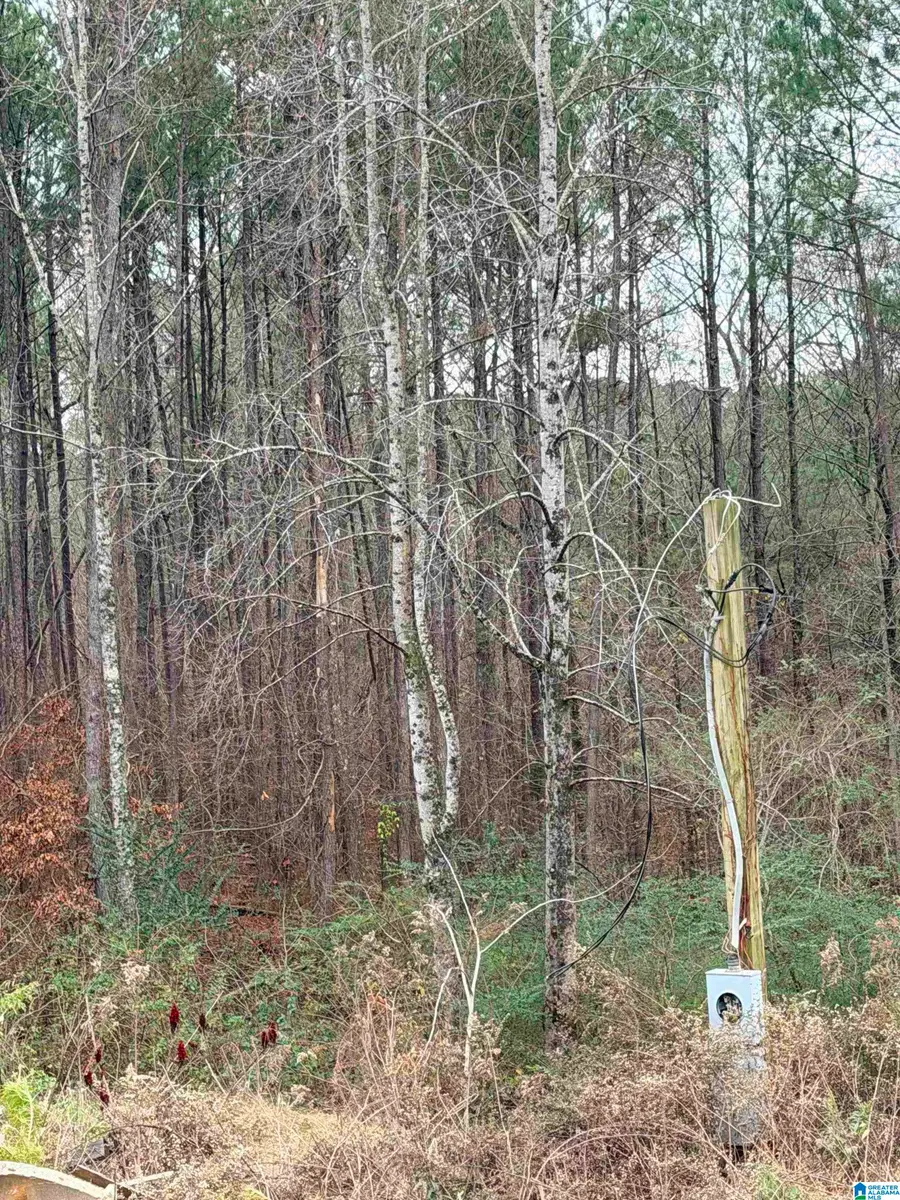 0 TEAL DRIVE, Hayden, AL 35079 - #2
