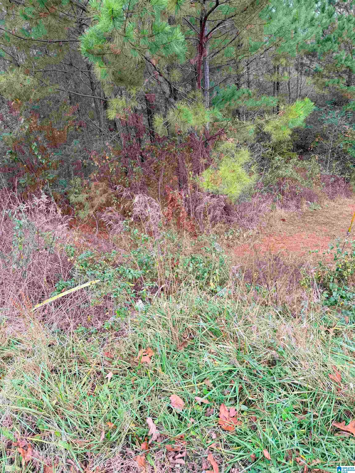 0 ARMSTRONG LOOP, Hayden, AL 35079 - #1