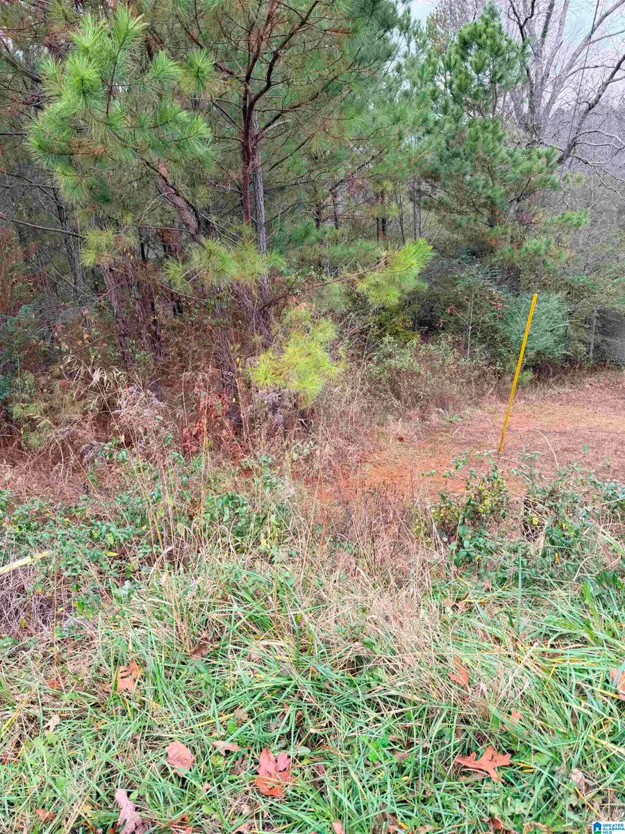 0 ARMSTRONG LOOP, Hayden, AL 35079 - #2
