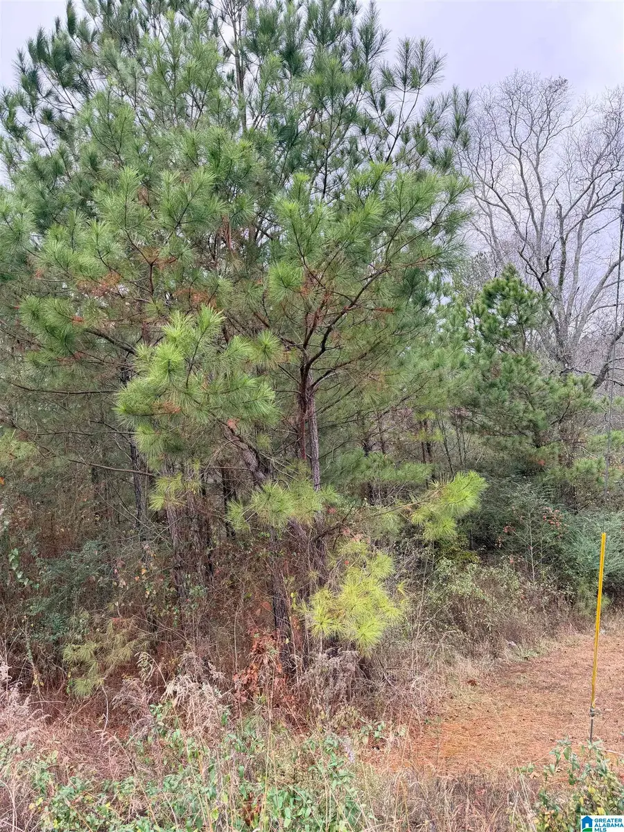 0 ARMSTRONG LOOP, Hayden, AL 35079 - #3