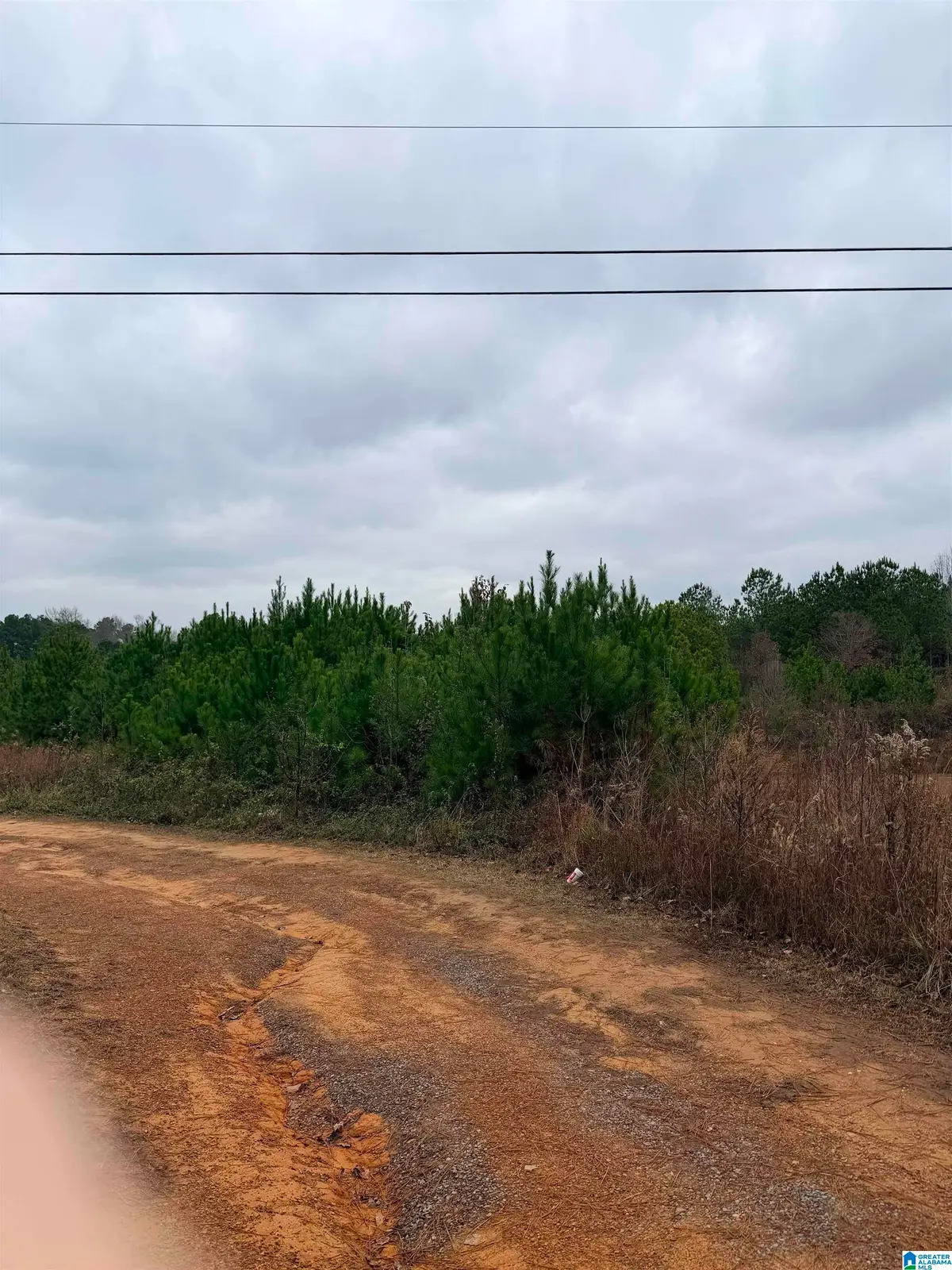 LAZY Y ROAD, Hayden, AL 35079 - #1