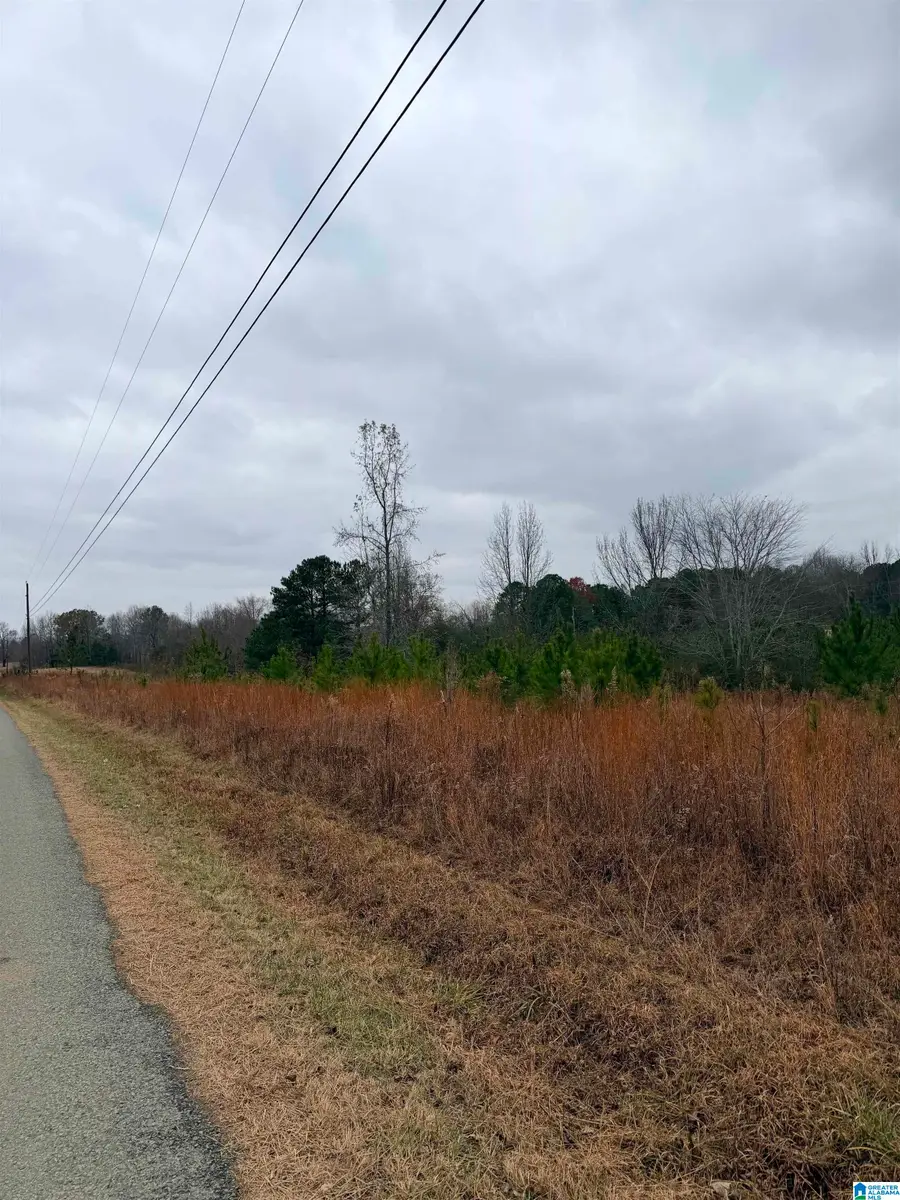 LAZY Y ROAD, Hayden, AL 35079 - #3