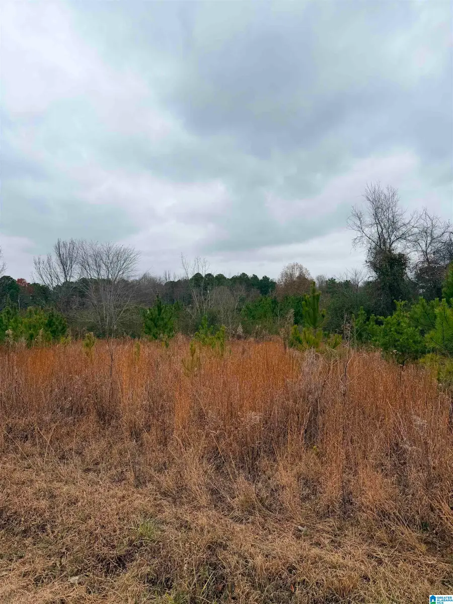 0 LAZY Y ROAD, Hayden, AL 35079 - #2