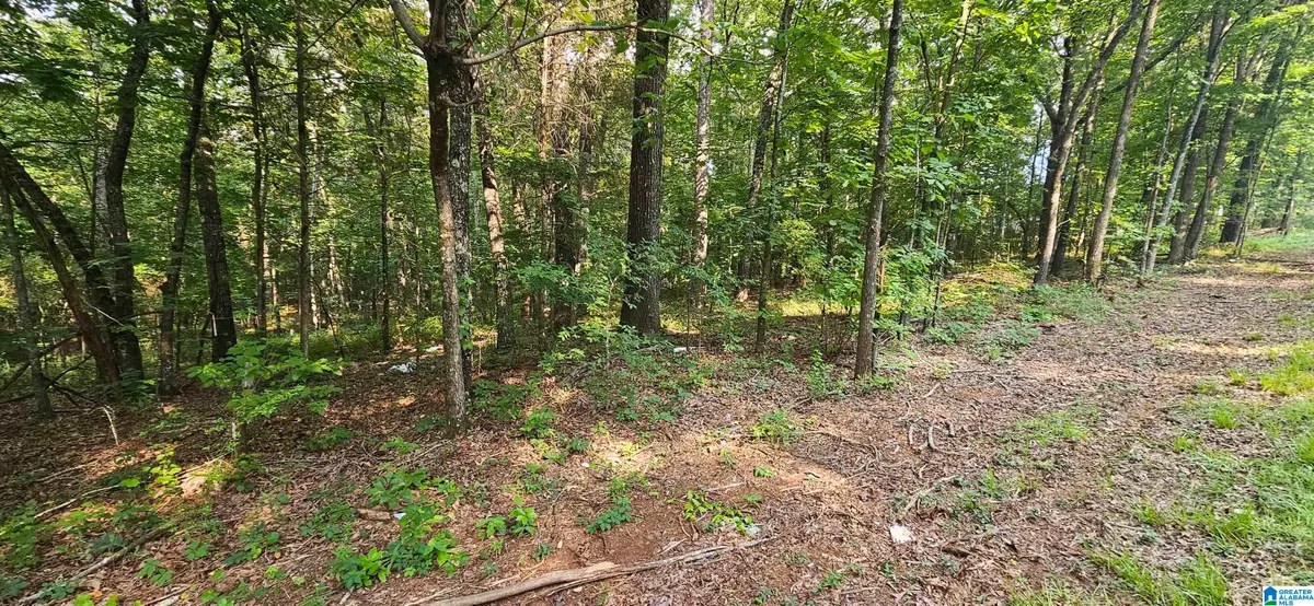 FUNDERBURG BEND ROAD, Pell City, AL 35128 - #1