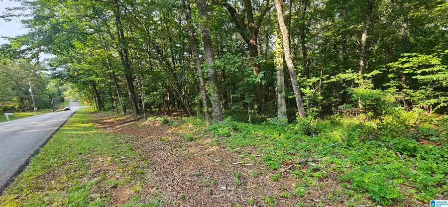 FUNDERBURG BEND ROAD, Pell City, AL 35128 - #2