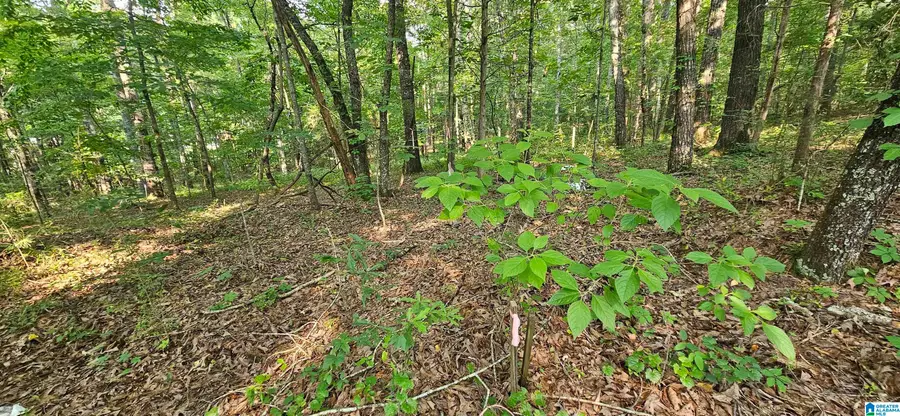 FUNDERBURG BEND ROAD, Pell City, AL 35128 - #3