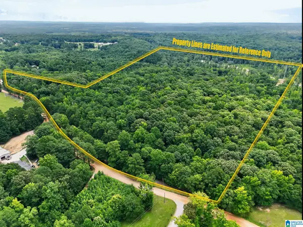 0 COUNTY ROAD 133, Jemison, AL 35085