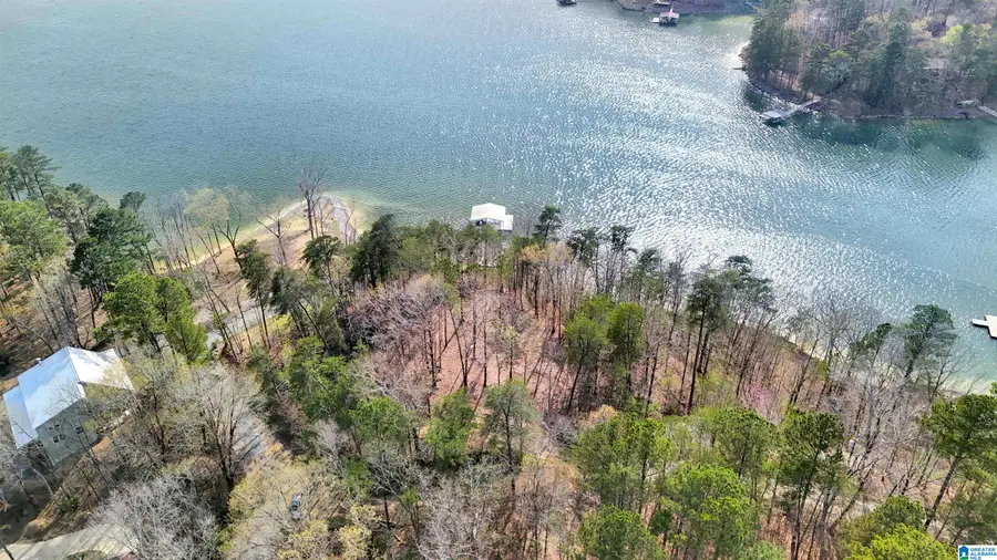 0 COUNTY ROAD 864, Crane Hill, AL 35053 - #3
