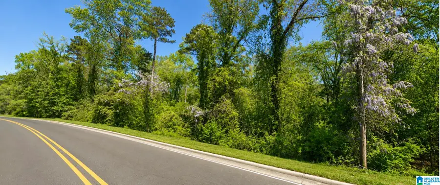 2803 ACTON ROAD, Birmingham, AL 35243 - #2