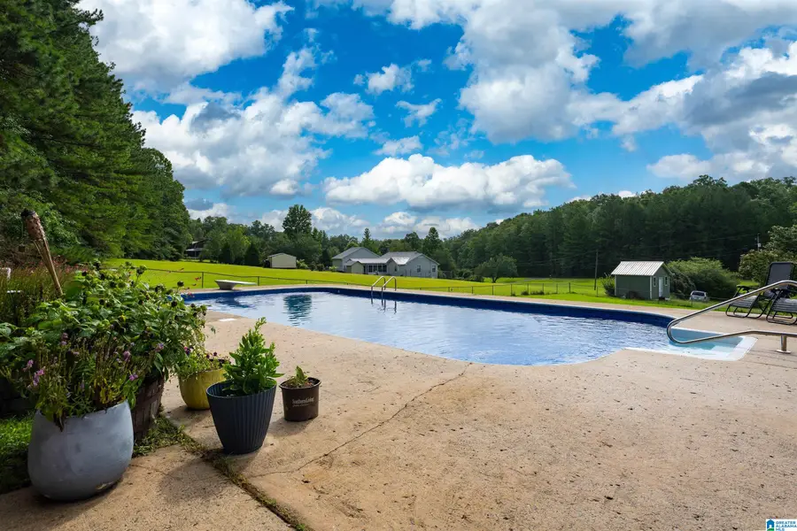 395 DEANS FERRY ROAD, Hayden, AL 35079 - #2