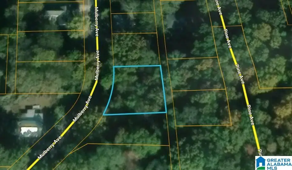 MULBERRY AVENUE, Anniston, AL 36201 - #1