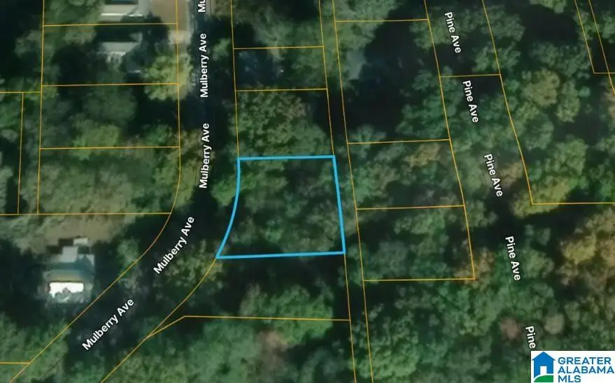MULBERRY AVENUE, Anniston, AL 36201 - #2