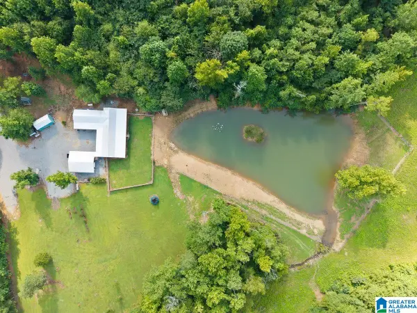 1115 MOUNTAIN GAP ROAD, Blountsville, AL 35031