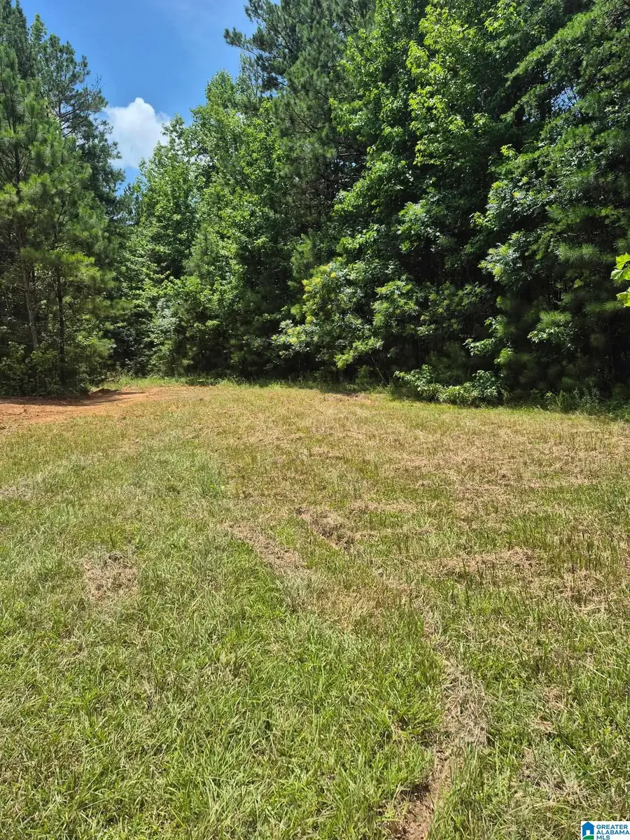 0 COUNTY ROAD 928, Delta, AL 36258 - #2