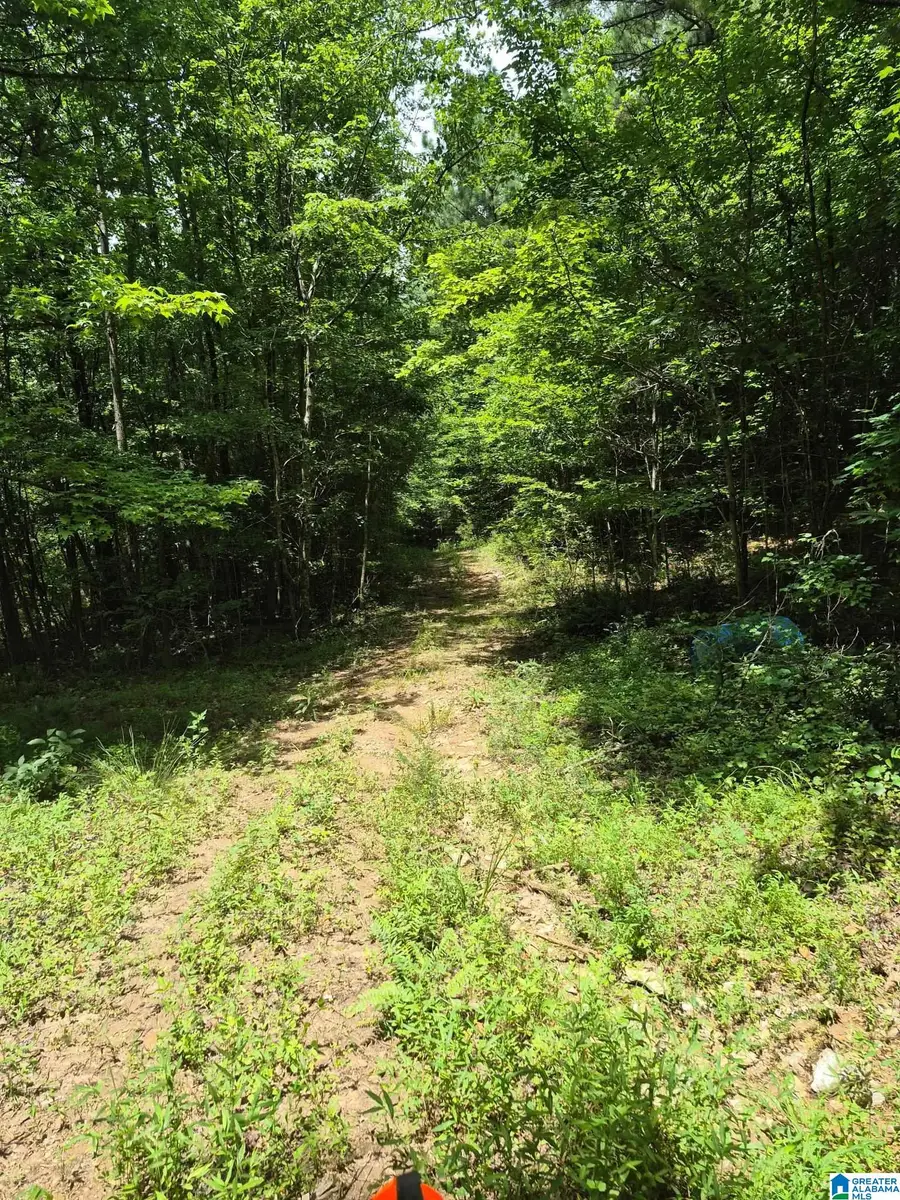 0 COUNTY ROAD 928, Delta, AL 36258 - #3