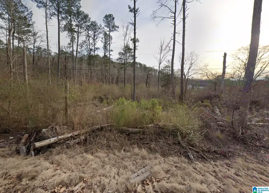 401 RAINWOOD LODGE ROAD, Quinton, AL 35130 - #2