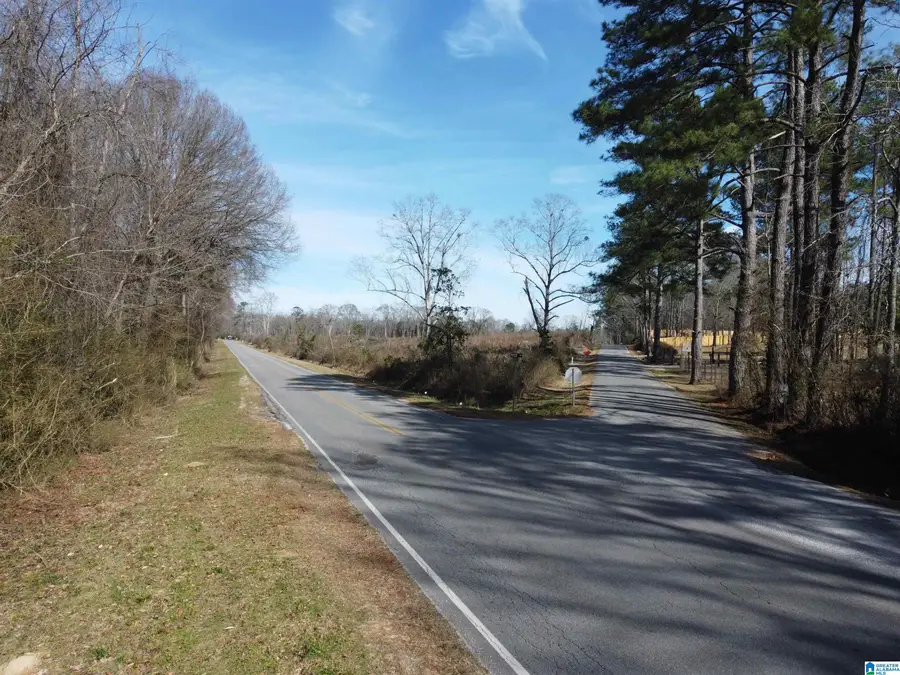 0 KINCHEON ROAD, Clanton, AL 35045 - #3