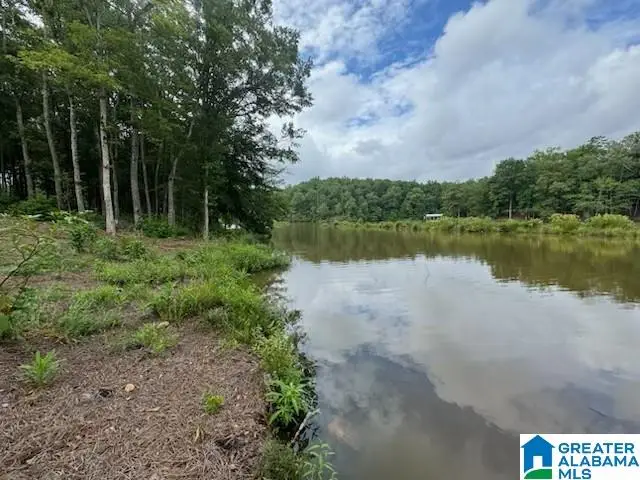 Lot 9 COUNTY ROAD 499, Woodland, AL 36280 - #1