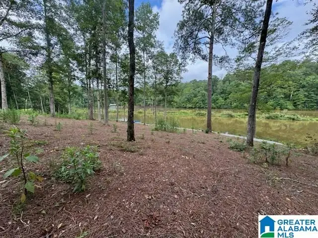 Lot 9 COUNTY ROAD 499, Woodland, AL 36280 - #3