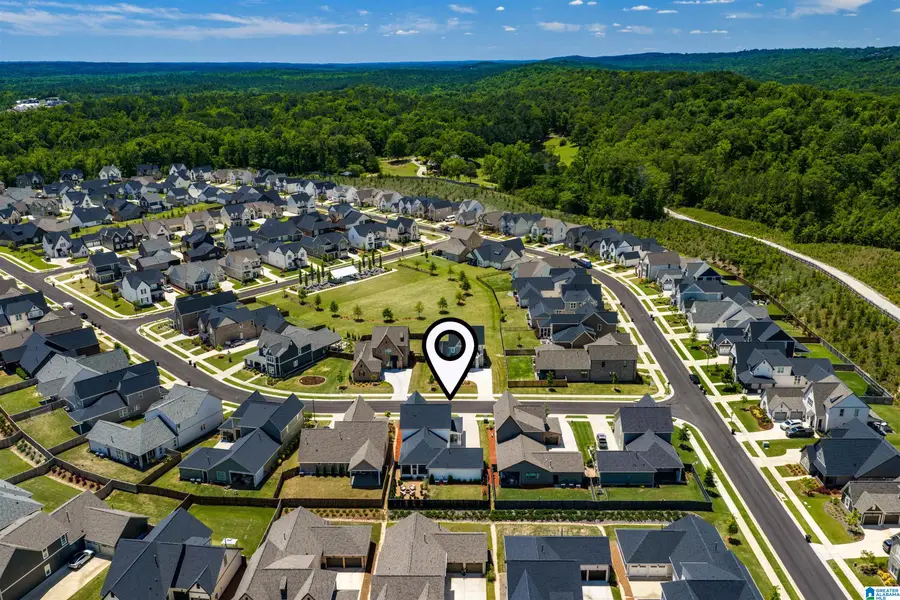1308 SEVERN WAY, Hoover, AL 35244 - #2
