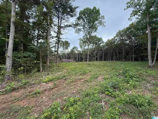 55 MOUNTAIN BROW DRIVE, Oneonta, AL 35121