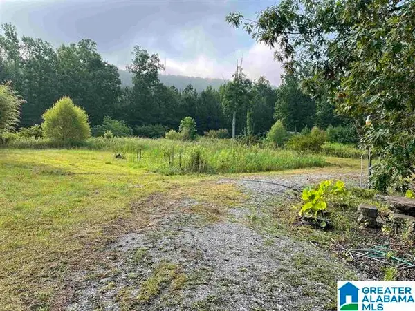 6345 FARLEY LANE, Birmingham, AL 35242