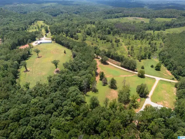 1310 COUNTY ROAD 269, Wedowee, AL 36278