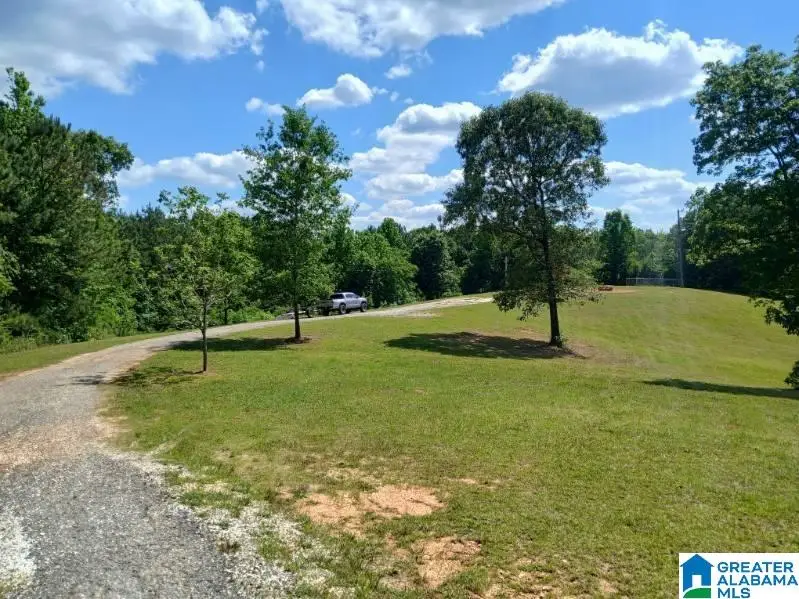 255 NEW COUNTY LINE ROAD, Sylacauga, AL 35151 - #2