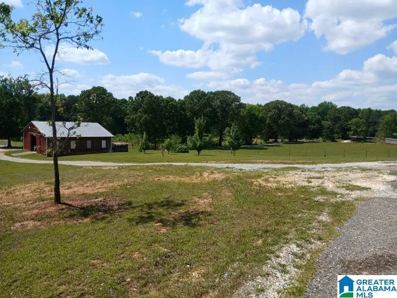 255 NEW COUNTY LINE ROAD, Sylacauga, AL 35151 - #3