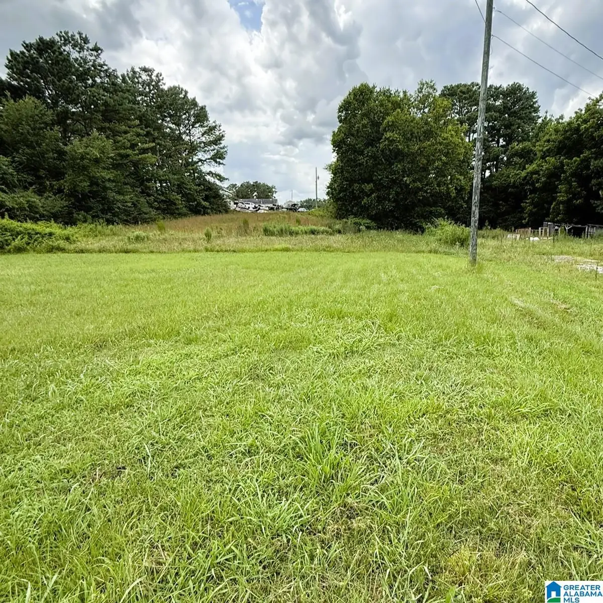 202 JOHNSON LANDING RD, Valhermoso Springs, AL 35775 - #1