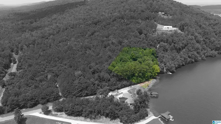 879 LAUNCH DRIVE, Ashville, AL 35953 - #2