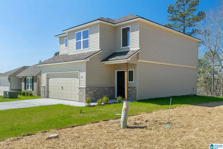 96 REAVES DRIVE, Munford, AL 36268 - #3