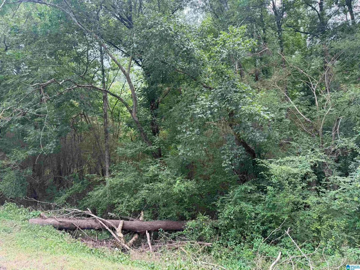 3500 WILBURN LAKE ROAD, Birmingham, AL 35214 - #1