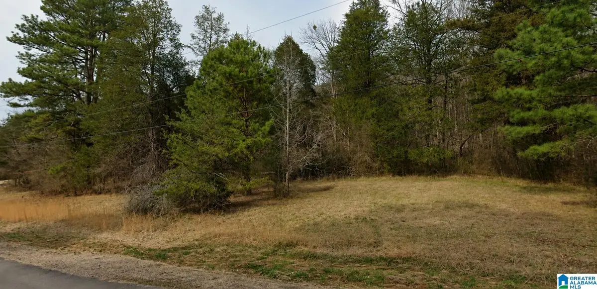 0 HERITAGE VALLEY DRIVE, Springville, AL 35146 - #1