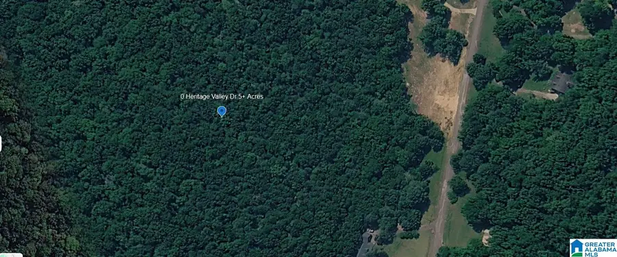 0 HERITAGE VALLEY DRIVE, Springville, AL 35146 - #2