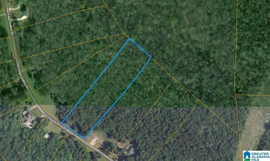 0 HERITAGE VALLEY DRIVE, Springville, AL 35146 - #3