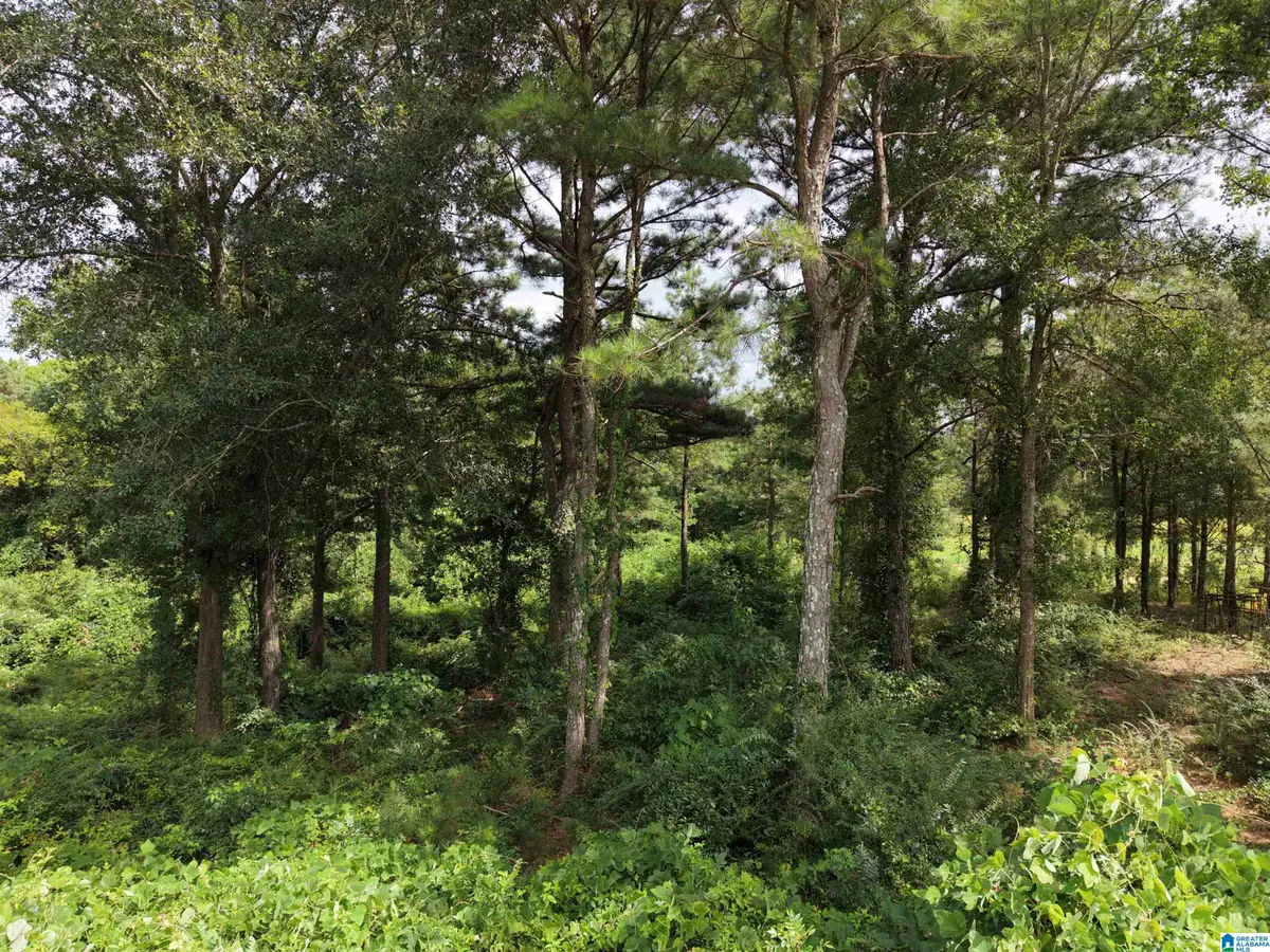 0 FAT ADAMS DRIVE, Hayden, AL 35079 - #1