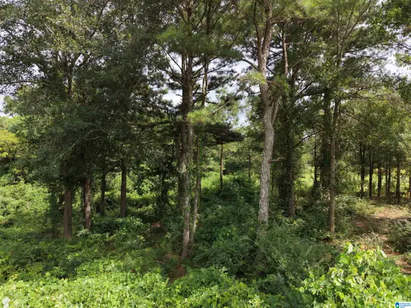 0 FAT ADAMS DRIVE, Hayden, AL 35079
