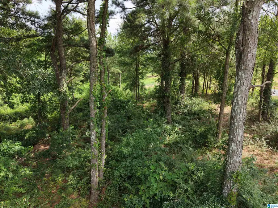 0 FAT ADAMS DRIVE, Hayden, AL 35079 - #2