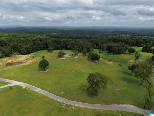 76 FAT ADAMS DRIVE, Hayden, AL 35079