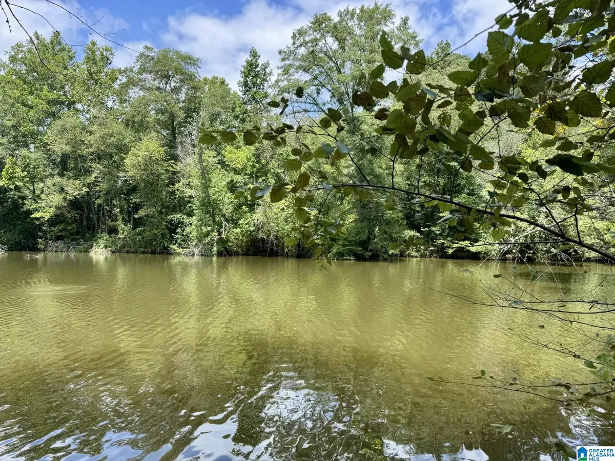 CIRCLE DRIVE, Wedowee, AL 36278 - #1
