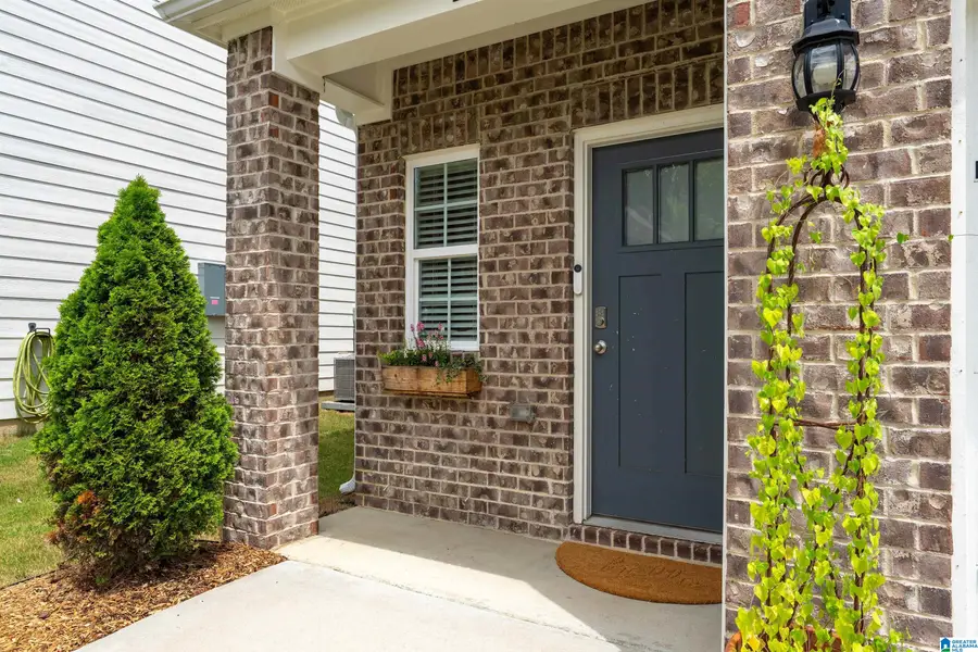 184 CHELSEA PARK ROAD, Chelsea, AL 35043 - #3