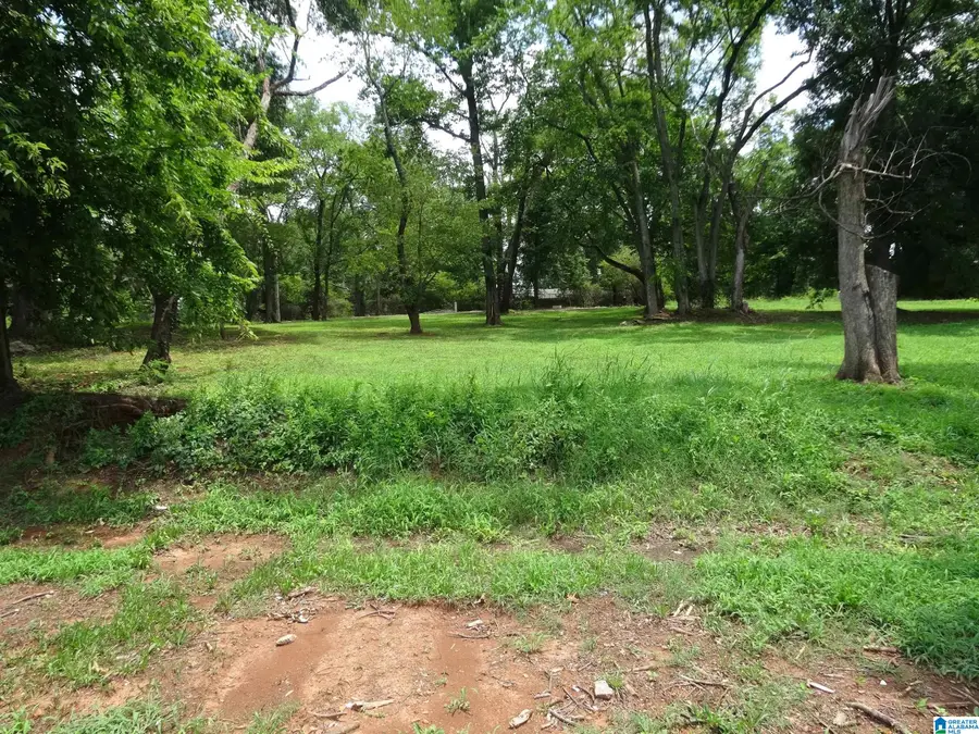 1309 SW 16TH STREET SW, Birmingham, AL 35211 - #2