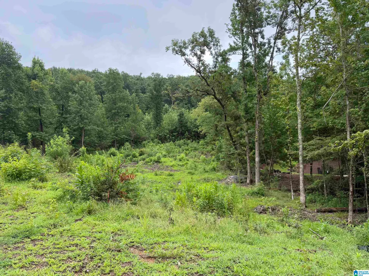 1072 ROYAL MILE, Birmingham, AL 35242 - #1