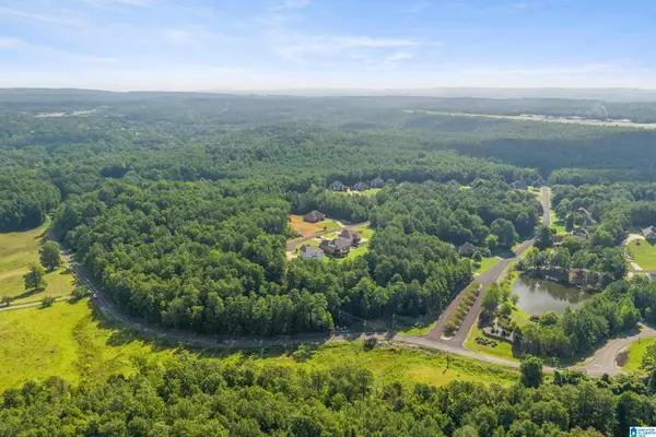 6535 IVY WALK, Mccalla, AL 35022