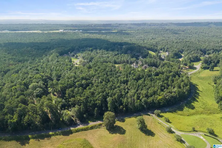 6535 IVY WALK, Greenwood, AL 35022 - #3