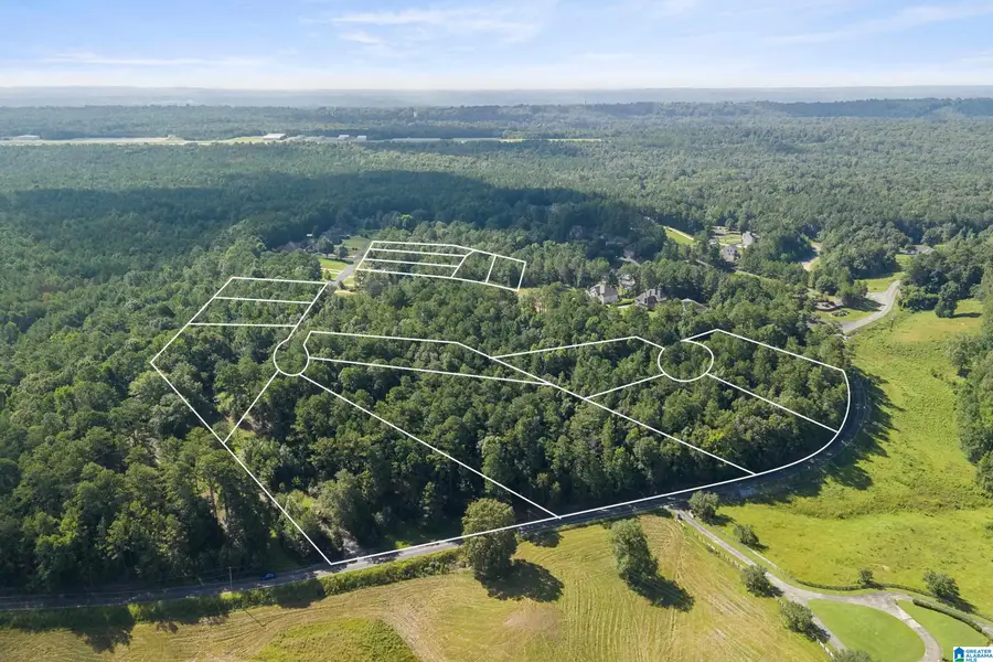 6531 IVY WALK, Greenwood, AL 35022 - #2
